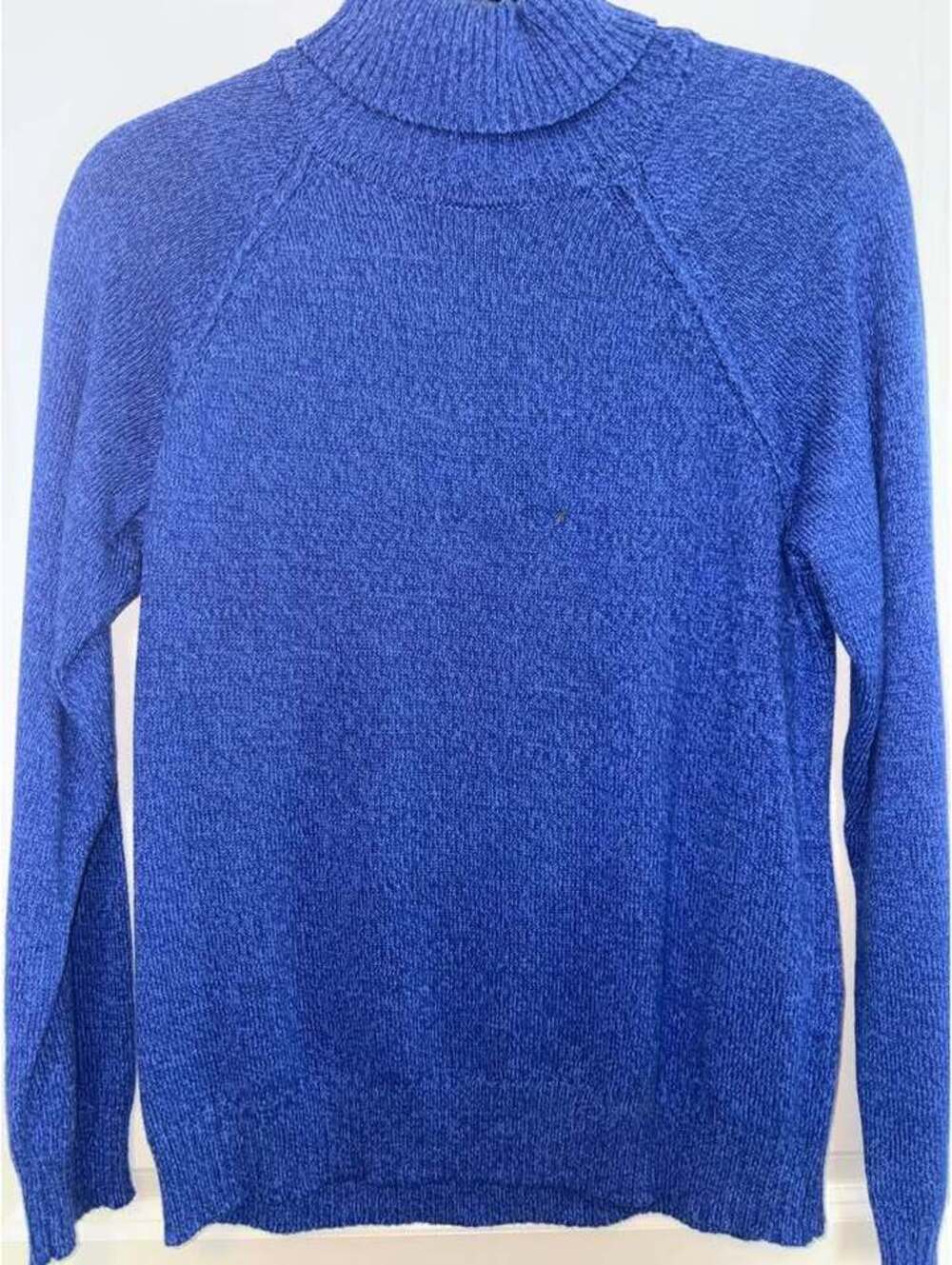 Karen Scott Blue Turtleneck Sweater